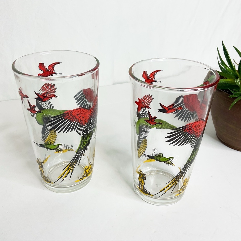 Vintage Pheasant Hunting Glass Tumblers Set Retro Bird Barware - Picture 2 of 9